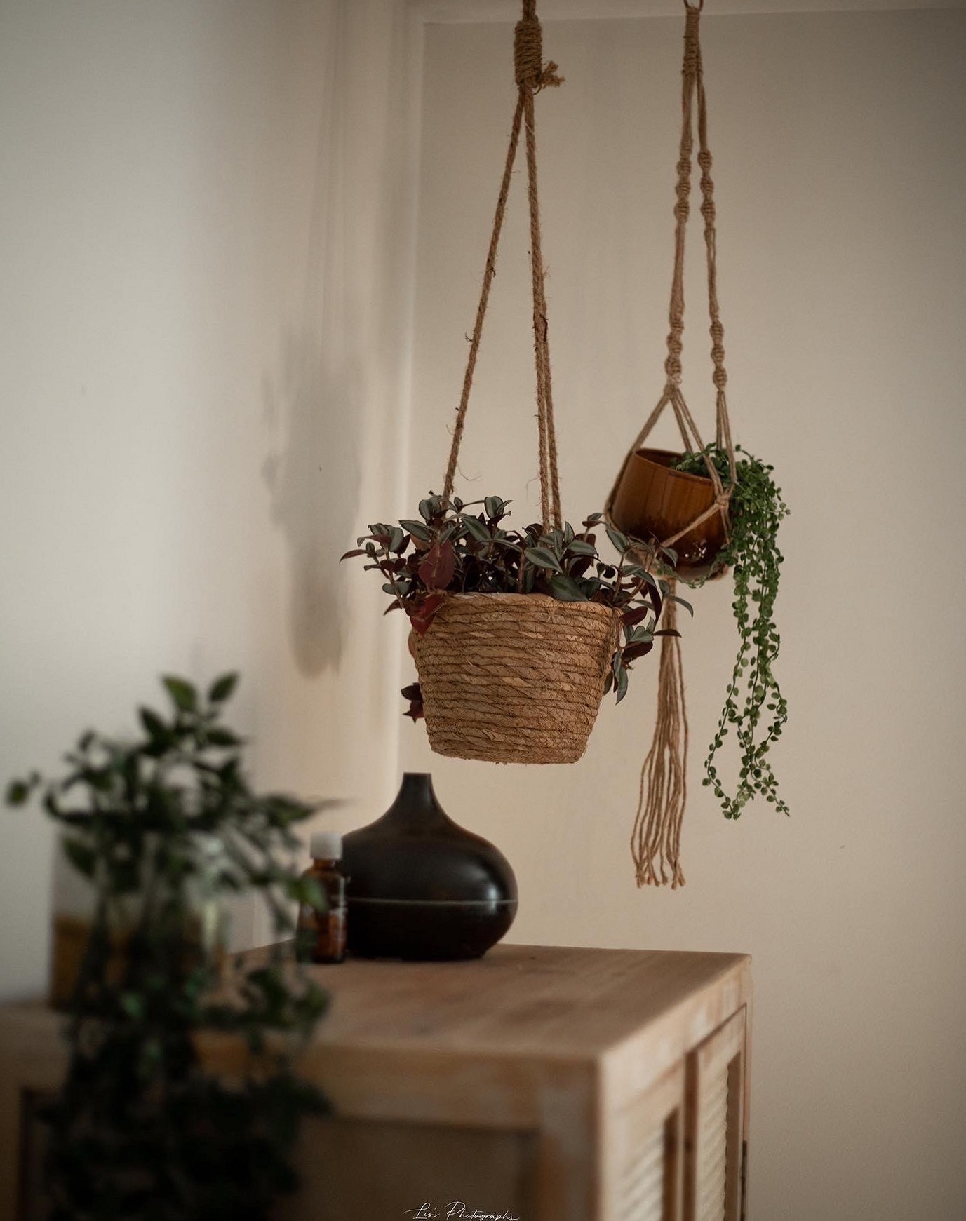 Twee hangende plantenmanden aan macramé boven een donkere vaas op de rotan kast